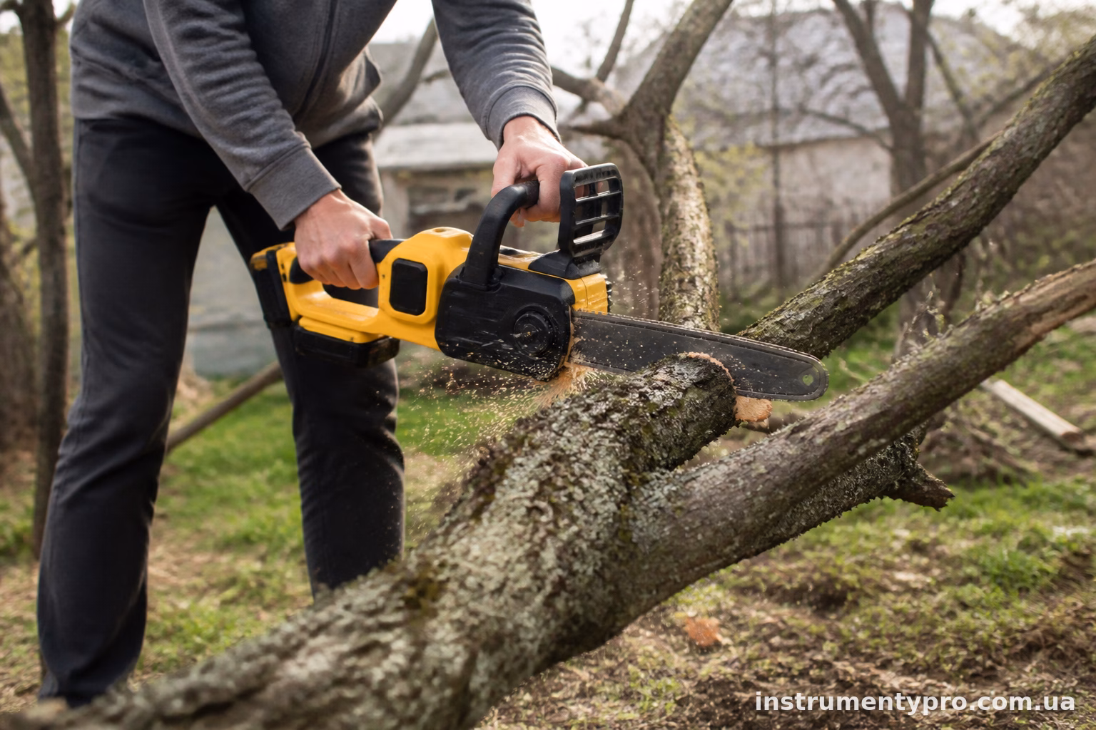 Ланцюгова пилка DeWalt на акумуляторі: чи підходить для спилювання дерев на дачі